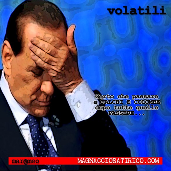 MarcoMengoli-Volatili