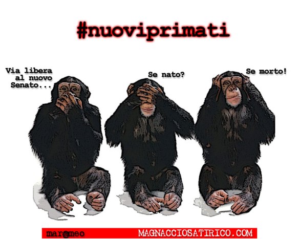 MarcoMengoli-#nuoviprimati